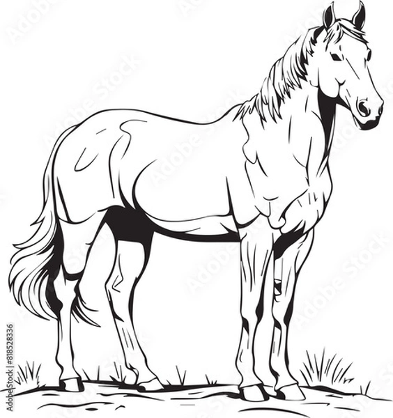 Obraz horse vector illustration white and black