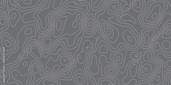 Obraz Relief patterns weaving depth and artistry into flowing contours

