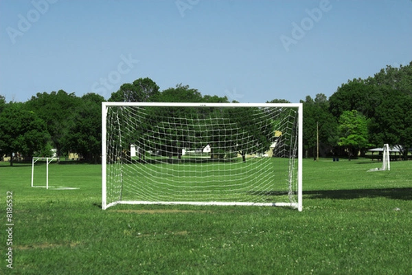 Obraz soccer goal