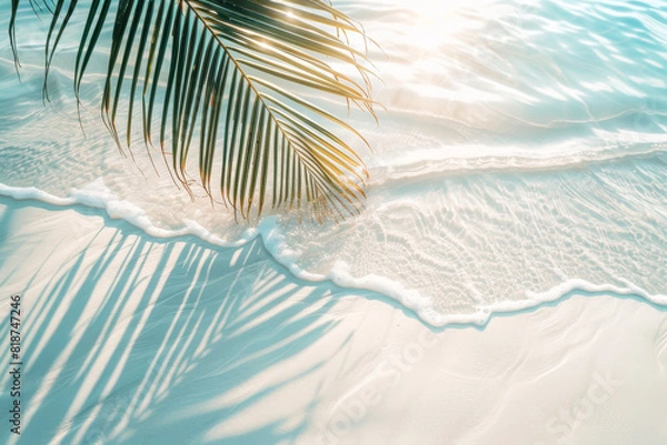 Fototapeta A palm tree is laying on the sand next to the ocean. The water is calm and the sun is shining brightly