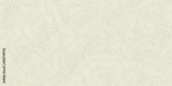 Fototapeta Elevation-inspired seamless texture with soft organic contour patterns

