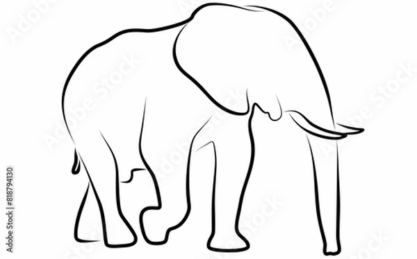 Fototapeta Elephant vector, line drawing side view illustration isolated on white background