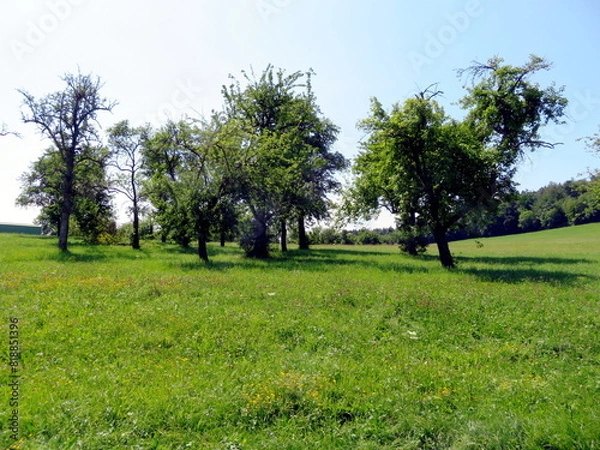 Fototapeta Landschaft