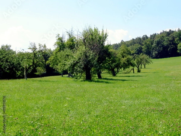 Fototapeta Landschaft