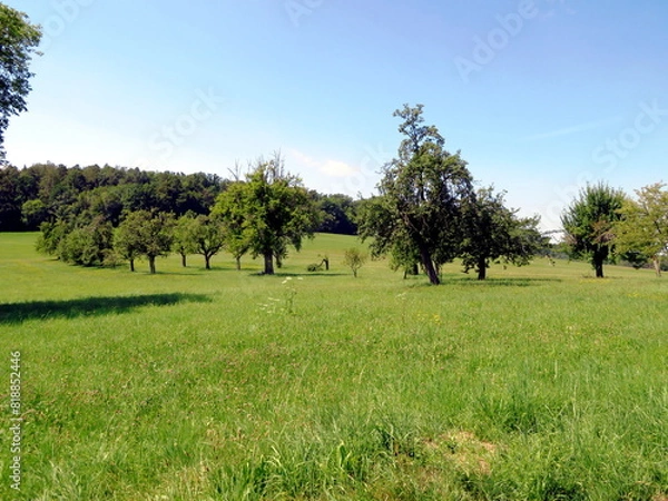 Fototapeta Landschaft