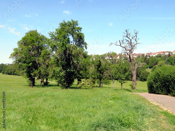 Fototapeta Landschaft