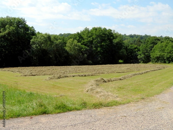 Fototapeta Landschaft