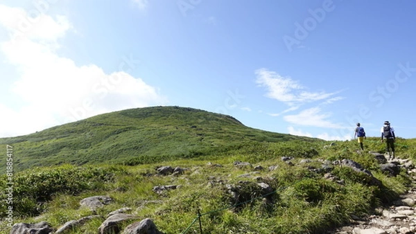 Fototapeta 月山の夏