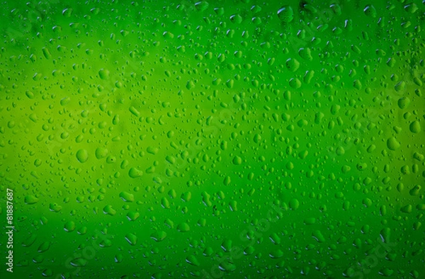 Fototapeta Texture water drops on the bottle of beer. Beer background