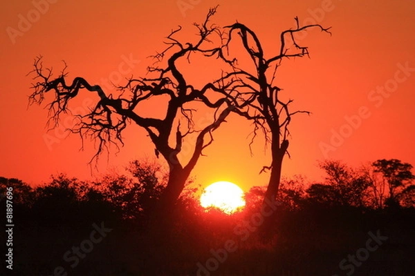 Obraz Tramonto Africano