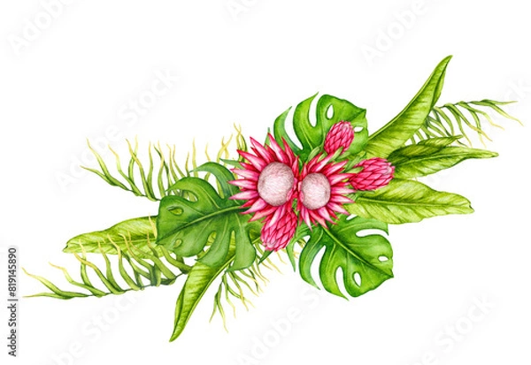Fototapeta Bouquet of tropical leaves and protea flowers. Watercolor composition. Realistic botanical illustration. Design of invitations, posters, postcards, greeting cards, stationery, fabric printing, etc.
