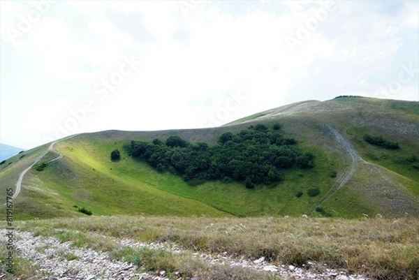 Obraz landscape in the summer