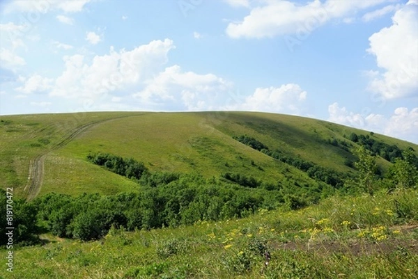 Obraz landscape with grass and sky