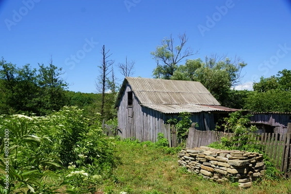 Obraz old wooden house