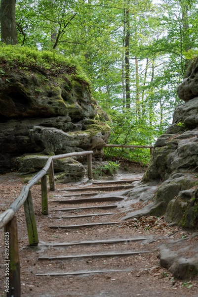 Fototapeta A wooden staircase leads up a rocky hillside. The path is surrounded by trees and the sky is cloudy