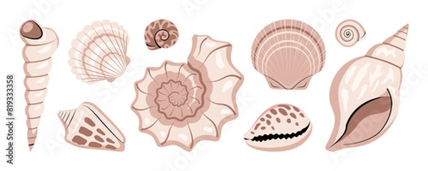 Fototapeta Sea shells collection isolated on white background. Set of beige and brown decorative conches of mollusks. Vector illustration in flat style.