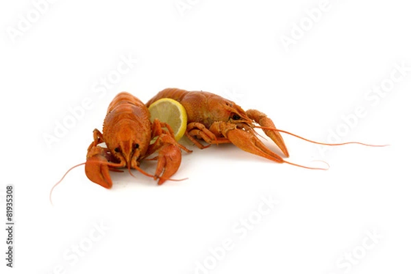 Obraz Вареные раки с лимоном