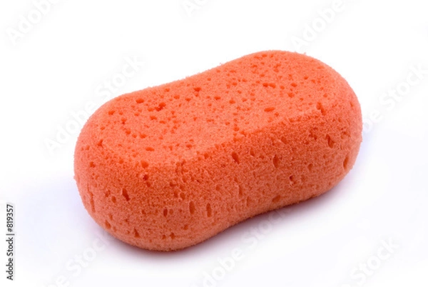 Obraz bath sponge
