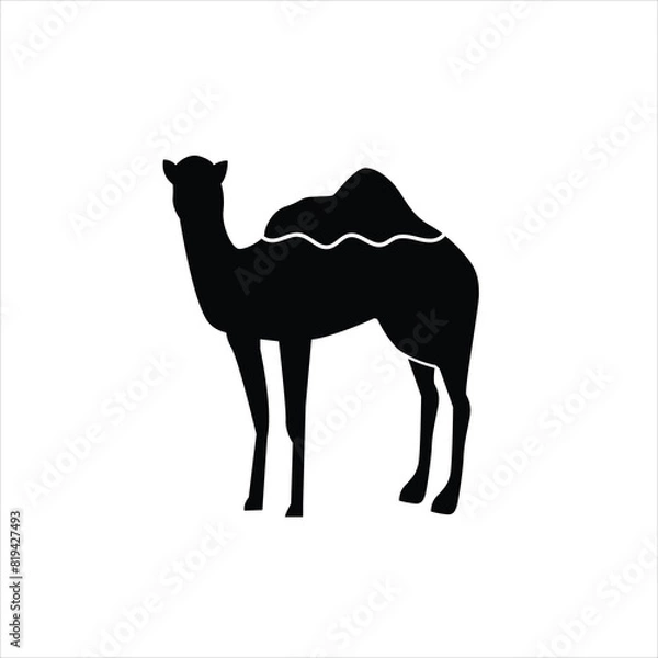 Obraz camel shadow vector illustration for your various design needs