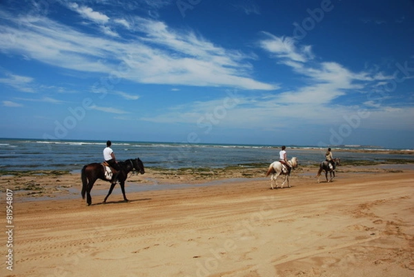 Obraz Cheval sur la plage