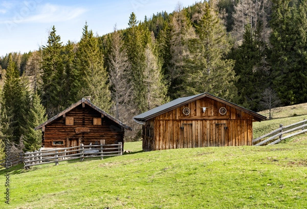Fototapeta Two wooden huts with grassland in front and trees in background in the mountain alps