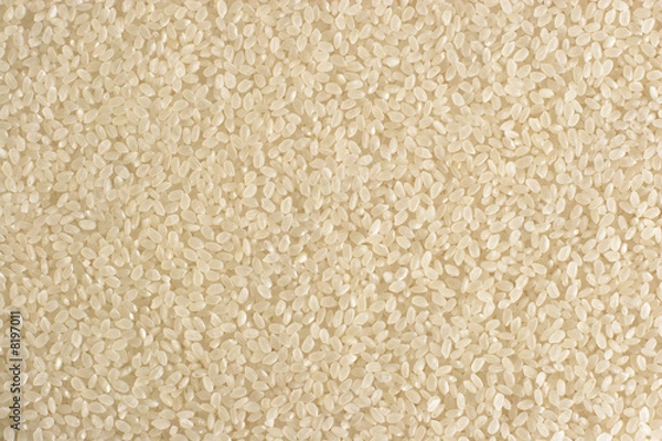Fototapeta Rice Texture