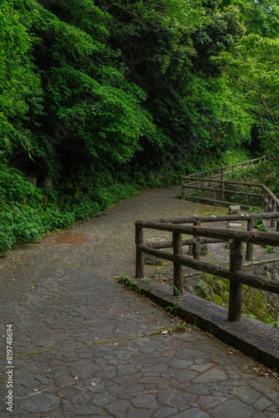 Obraz 緑に囲まれた遊歩道、緑地公園