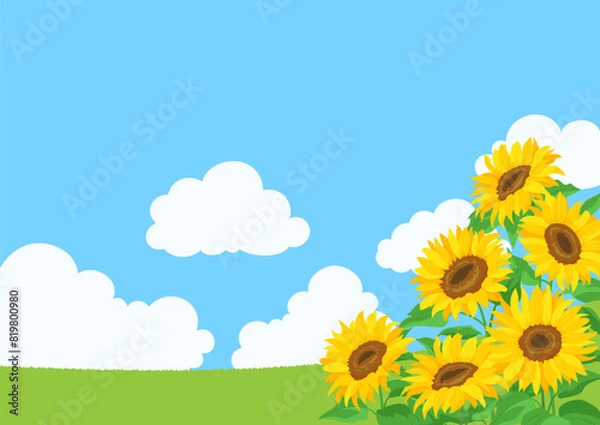 Fototapeta ひまわりの花と青空の風景。背景イラスト素材。