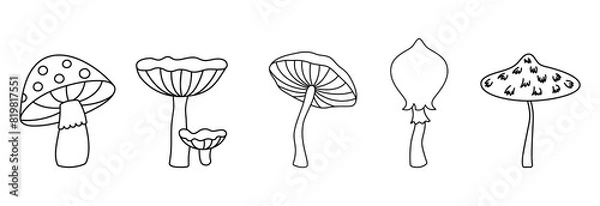 Fototapeta Set wild mushrooms on a white background, outline drawn vector illustration, 
Contour black line mushroom, cartoon style