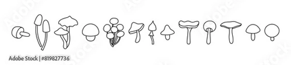 Fototapeta Many little mushrooms, set Wild mushrooms on a white background, outline drawn vector illustration, cartoon style