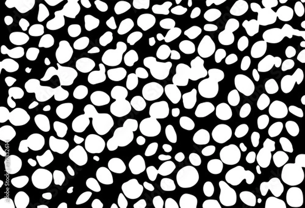 Fototapeta White balls on a black background, texture monochrome circles, Expressive Shapes and Dots, 
small form pellets are placed quaint 
