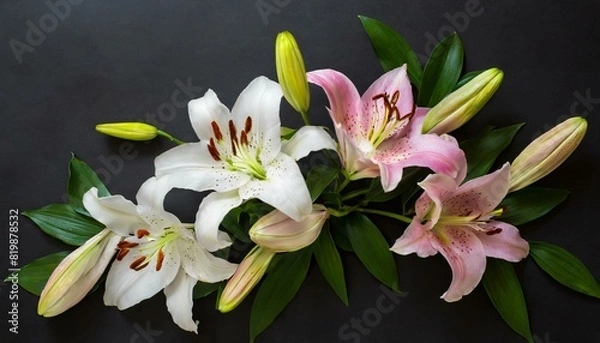 Obraz composition of lily flowers on a black background