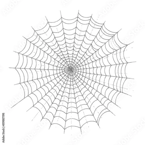 Obraz spider web black color only