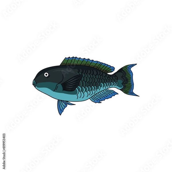 Obraz set of parrot fish isolated on white background