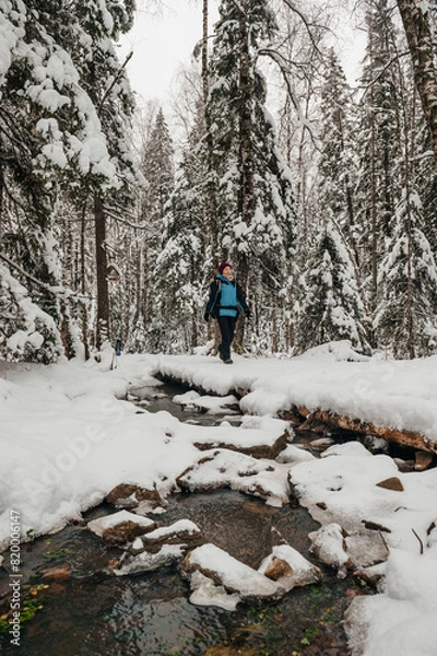 Fototapeta A tourist girl walks through a snow-covered forest with a backpack