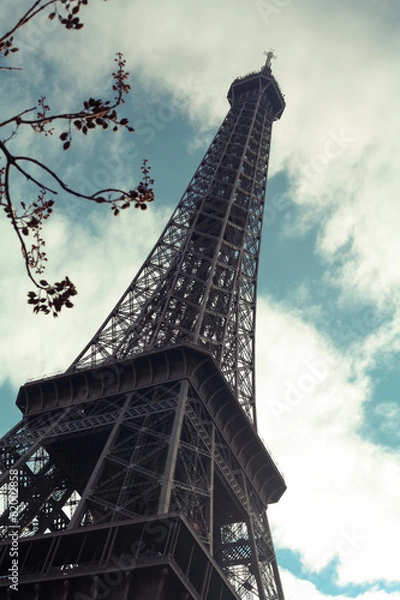 Fototapeta Eiffel Tower