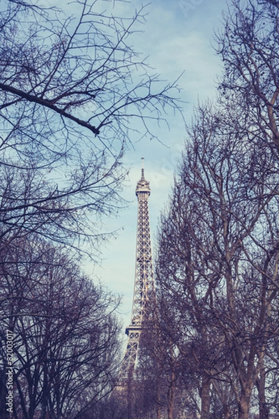 Fototapeta Eiffel Tower