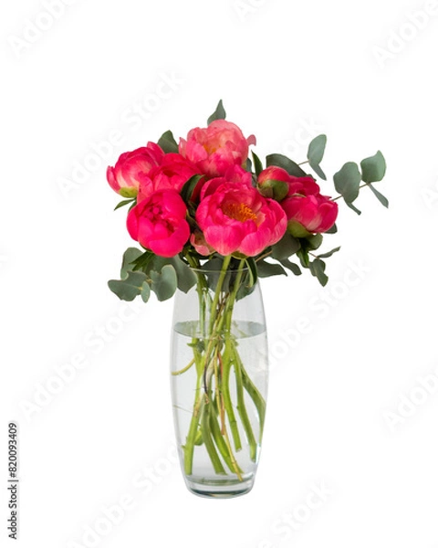 Fototapeta bouquet of pink peonies with green eucalyptus in a vase isolated