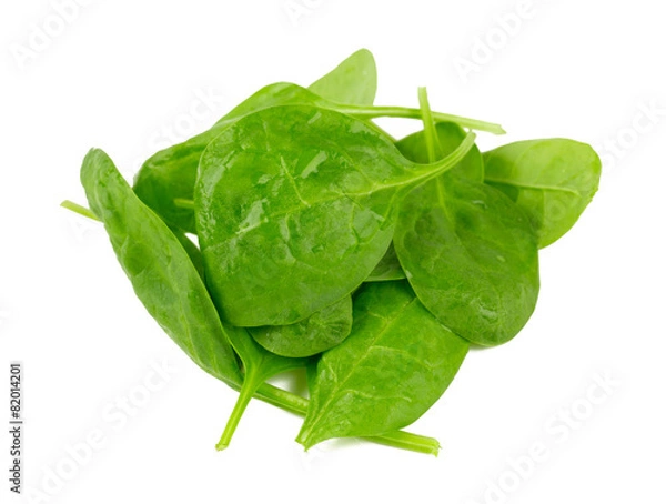 Fototapeta spinach isolated