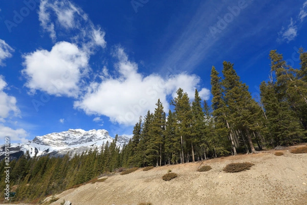 Obraz Banff National Park