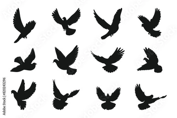 Obraz Dove silhouette vector art white background