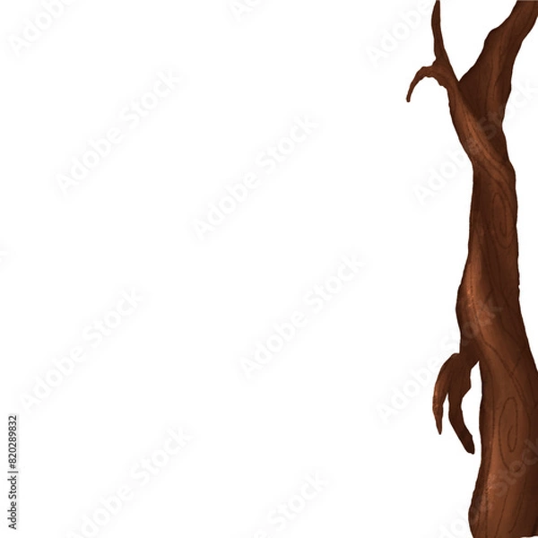 Obraz tree isolated, half tree