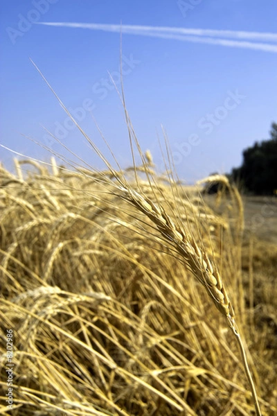 Fototapeta sky_guide