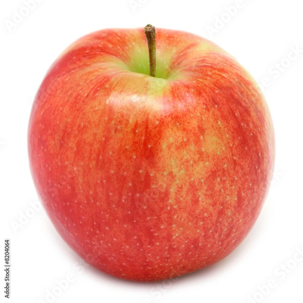 Fototapeta Jonagold Apple