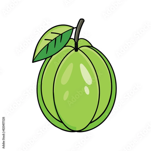 Obraz Grapes cartoon vector Illustration flat style artwork concept
