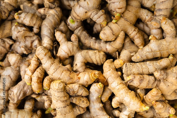 Obraz closed up of turmeric rhizome