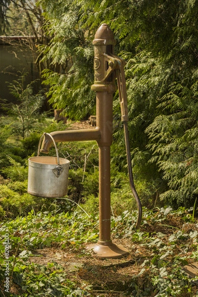 Fototapeta Rustical pump water