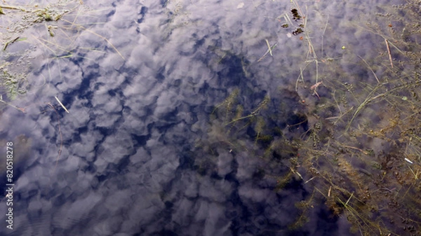Fototapeta clouds with Calm weather over the water. Ocean with clouds on a background of green trees and blue sky