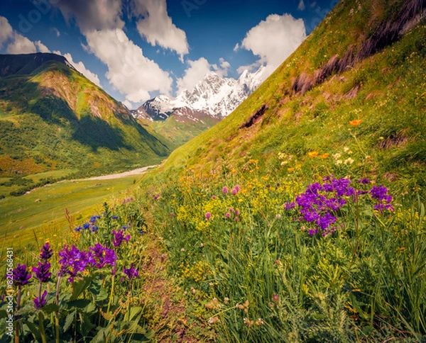 Fototapeta Trekking in Caucasus mountains. Splendid summer view of green hills in Upper Svaneti, Georgia, Europe. Colorful morninf scene of snowy mountain peak. Beauty of nature concept background..