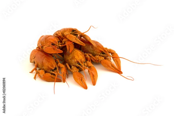 Obraz Пять вареных раков